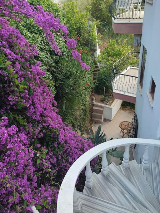 Apartament On The Historic Castle Hill